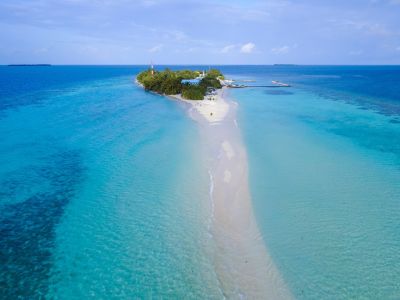Kunburudhoo, photo 1 of 6