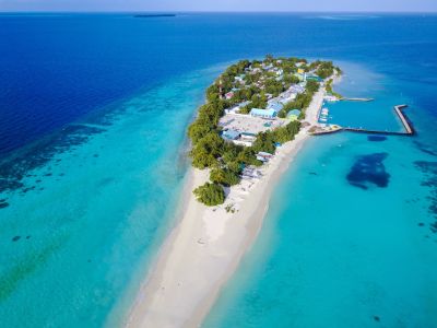 Kunburudhoo, photo 3 of 6