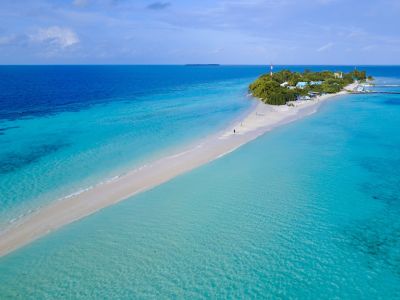 Kunburudhoo, photo 2 of 6