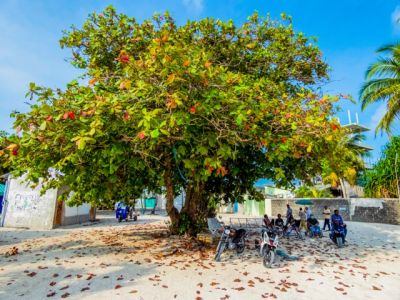 Kudarikilu, photo 1 of 6