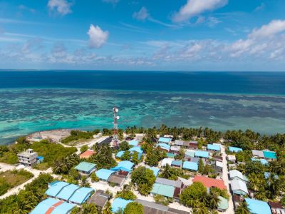 Dhaandhoo, photo 3 of 6