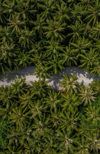 Aerial view of Kumundhoo
