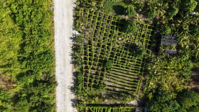 Fonadhoo, photo 3 of 6