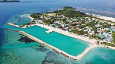 Muli, photo 1 of 6