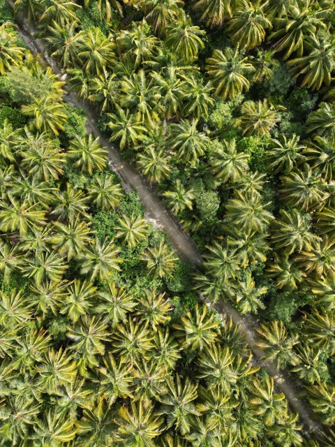 Aerial view of Veyvah