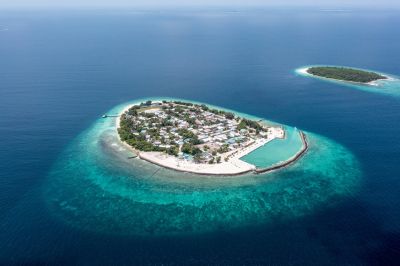 Henbandhoo, photo 3 of 6
