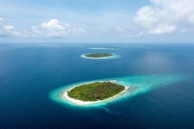 Henbandhoo, photo 2 of 6
