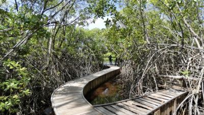 Kendhikulhudhoo, photo 3 of 6
