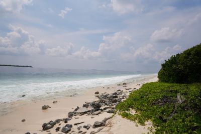 Fainu, photo 2 of 6