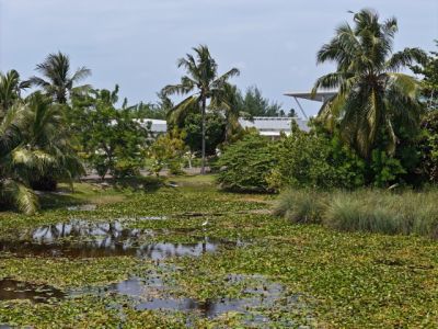 Hithadhoo, photo 3 of 6