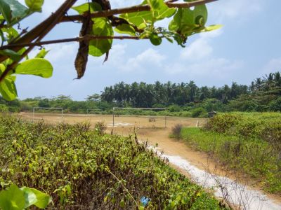 Narudhoo, photo 1 of 6