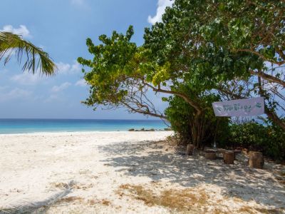 Narudhoo, photo 2 of 6